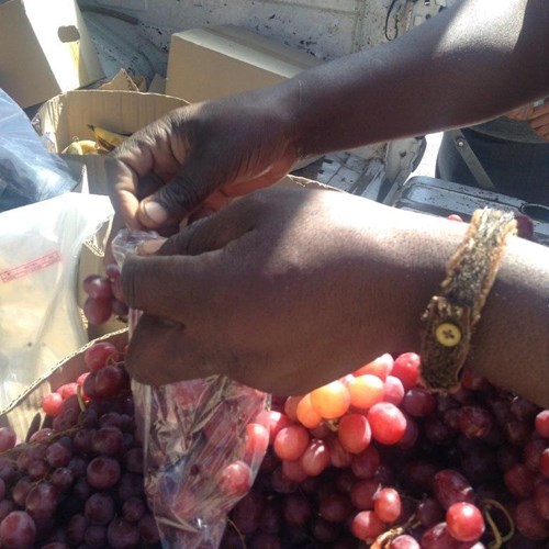 Hands packing grapes
