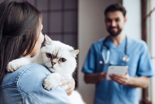 Can you afford emergency surgery for your pet?