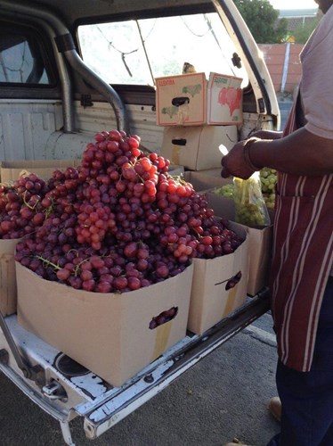 Grapes at back of bakkie