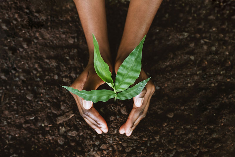 Grow your income in 5 steps 