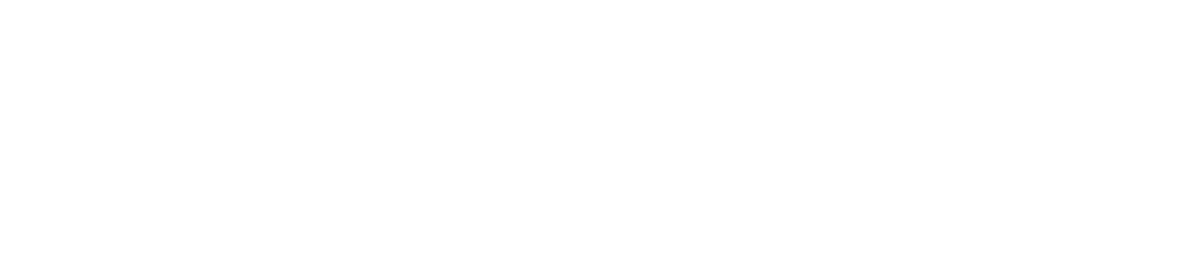 SmartSolve Finance logo