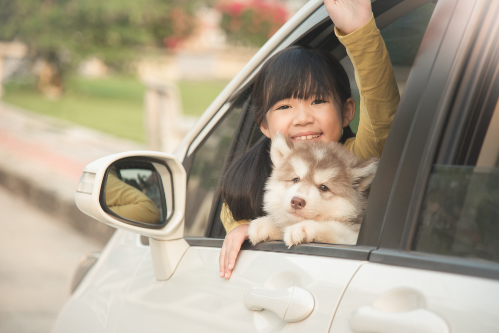 Surviving the summer heat, smartly 