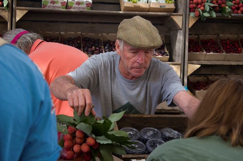Man selling fresh produce at local market